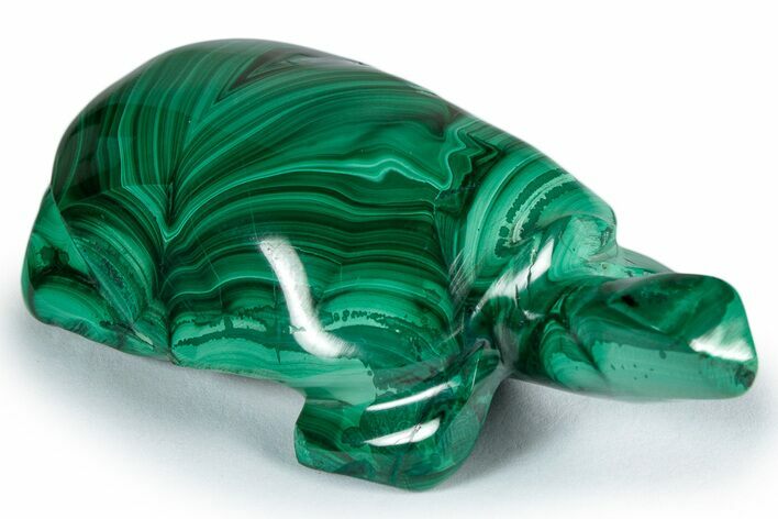 Flowery, Malachite Turtle Carving - DR Congo #337819